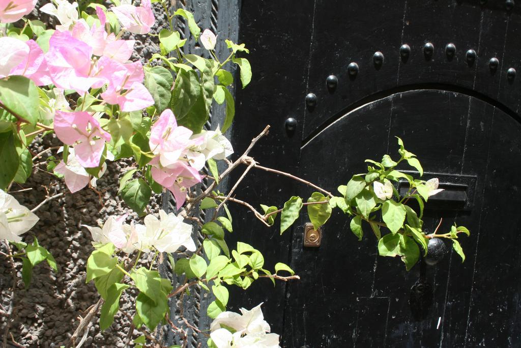 Riad Alghani Marraquexe Exterior foto